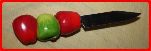 FUN STAINLESS STEEL APPLE PEELER KNIFE WITH APPLE HANDLE DETAILS