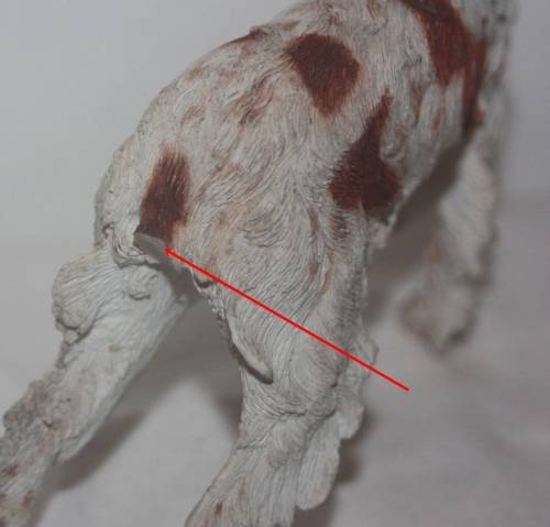 SETTER DOG RESIN FIGURINE  DETAILS ARE AMAZING ( D)