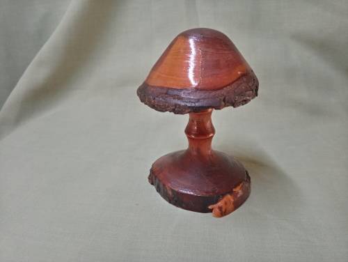 Mike Lewis hand carved deodar cedarwood mushroom 6/98 Newzealand artist