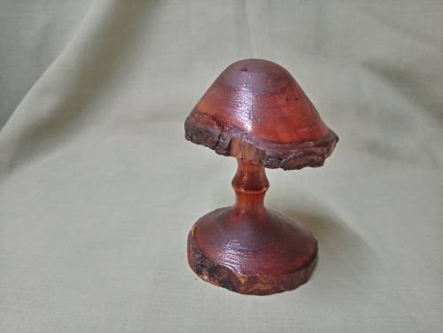 Mike Lewis hand carved deodar cedarwood mushroom 6/98 Newzealand artist