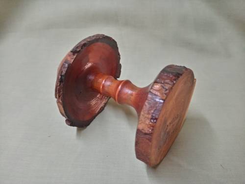 Mike Lewis hand carved deodar cedarwood mushroom 6/98 Newzealand artist