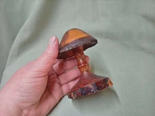 Mike Lewis hand carved deodar cedarwood mushroom 6/98 Newzealand artist