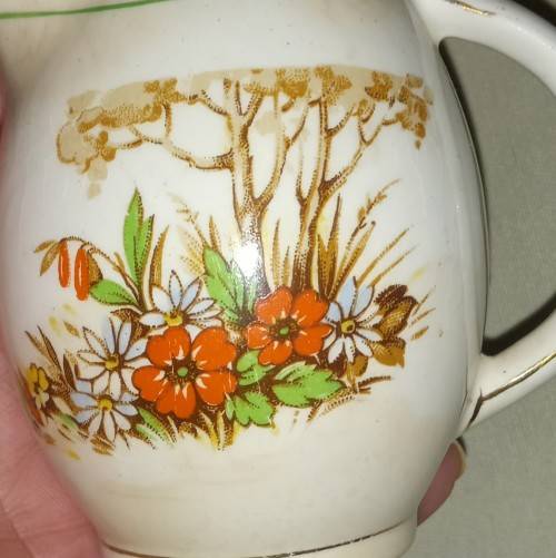 Small milk/creamer jug made in England. Vintage. Botanical details pretty thing