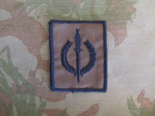 Recce/SF operators Badge (Copy)