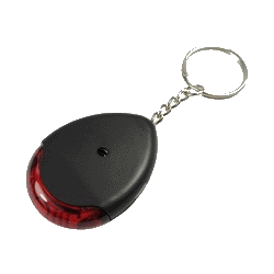Keyfinder : Whistle Controlled With Sound and Light