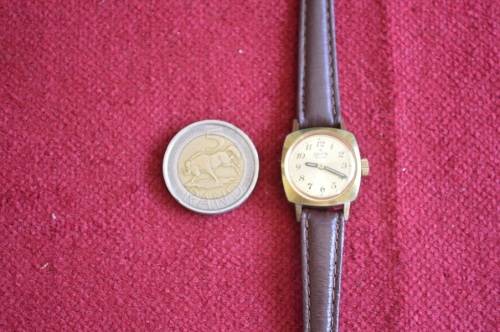 Delfin E Dox 1960's Swiss watch