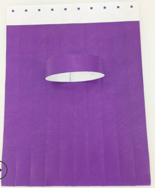 100 Tyvek Wristband