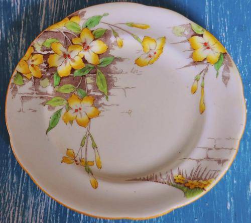 Six Gorgeous Vintage Paragon Cake Plates