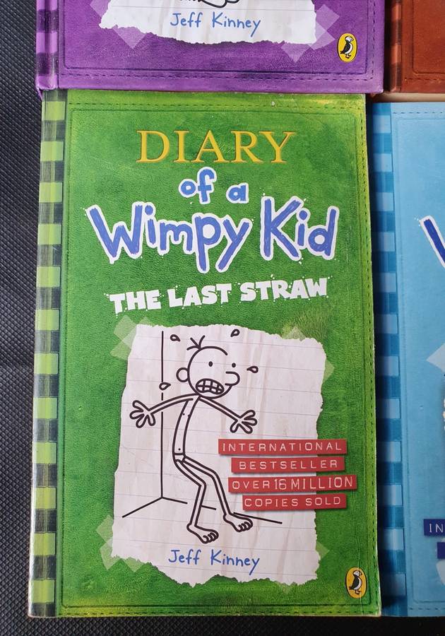 Diary of a Wimpy Kid Book Collection 4x Books