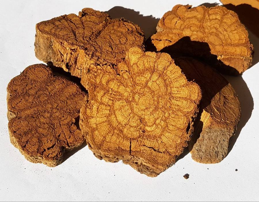 100g Banisteriposis Caapi Yellow Bark