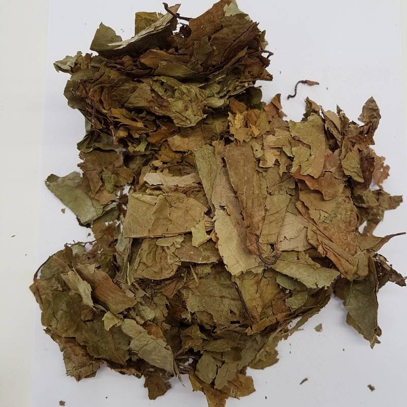Banisteriopsis caapi - Leaves 100g