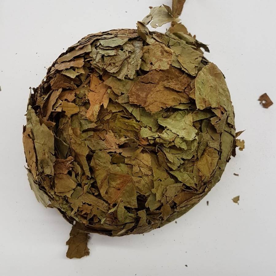 Banisteriopsis caapi - Leaves 100g