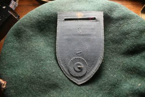 Shoulder flash Onlus EEnheid Port Natal