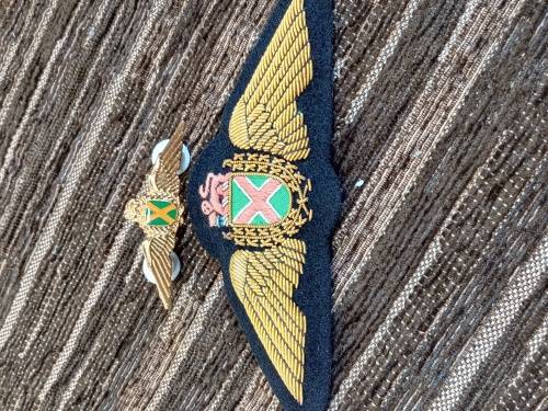 SA airforce Pilot wings gold