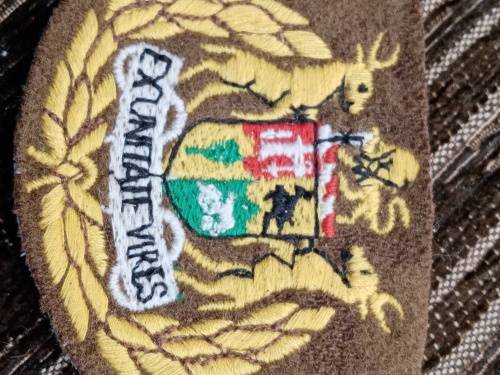 Nuetria ranking insignia