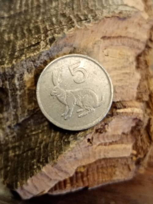 5 Zimbabwe 1996