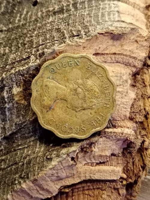 Hong Kong Twenty cents 1983