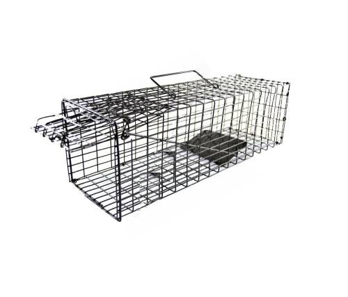 Cheezy Humane Live Rat and Mouse Catch and Release Cage Trap (400 x 125 x 125mm)