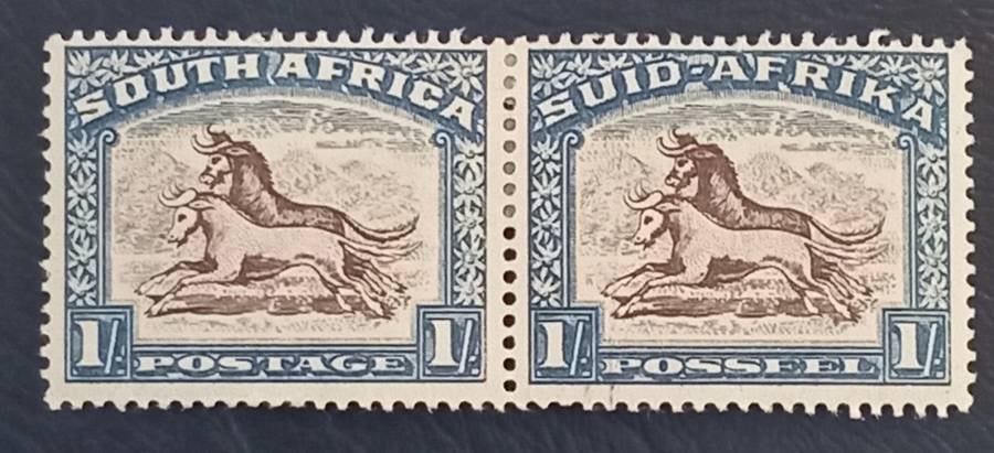 SA Union-1s Hyphenated Pictorial, Vertical line vissible on 2nd stamp.