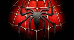 SPIDERMAN - 20 piece puzzle - 3 to choose from - COLLECT THEM ALL!