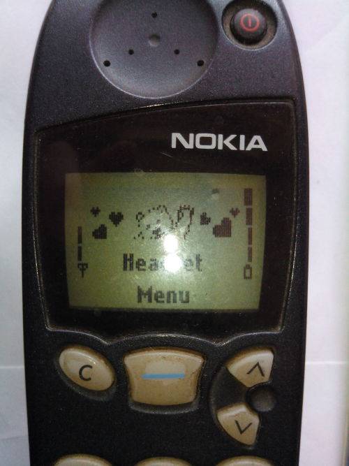 VINTAGE Nokia 5110 - With Accessories + Charger (Tested and Working)
