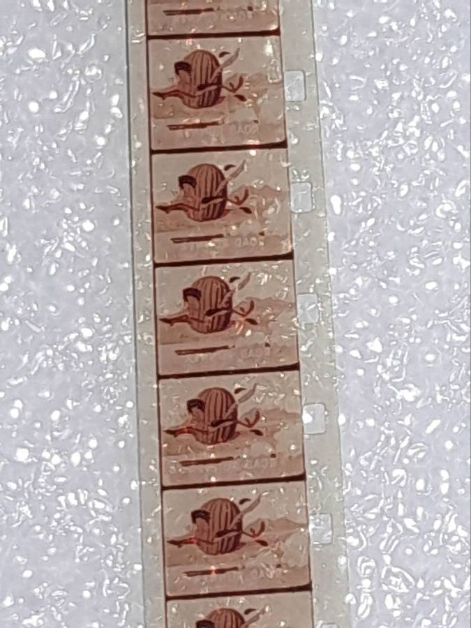 Vintage Looney Tunes Road Runner Super 8 Colore Film Reel Warner Bros Techno Film Plus Storage Cover