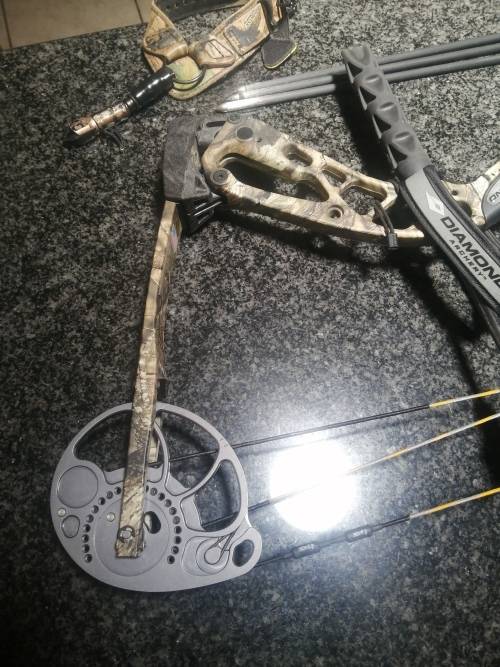 diamond infinite edge sb1 bow and 3 arrows