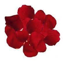RED HANDMADE ROSE PETALS FOR A VERY SPECIAL TIME!
