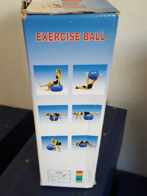 GYM EXERCISE BALL WITH PUMP !!!! REDUCED TO CLEAR !!!! ONLY 1 LEFT IN RED !!!!