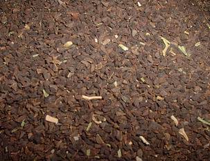 1 oz 28 Grams Peganum Harmala Seeds (Syrian Rue) - VIABLE
