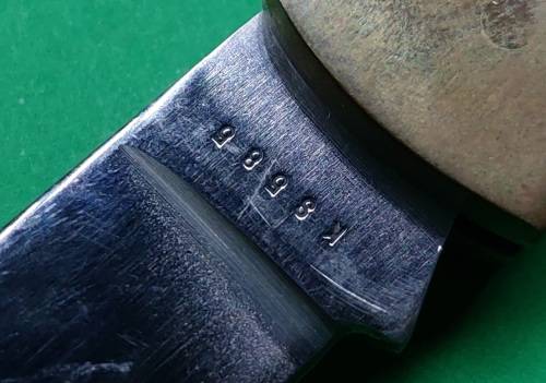 Stainless Steel Japan Eagle Pocket knife