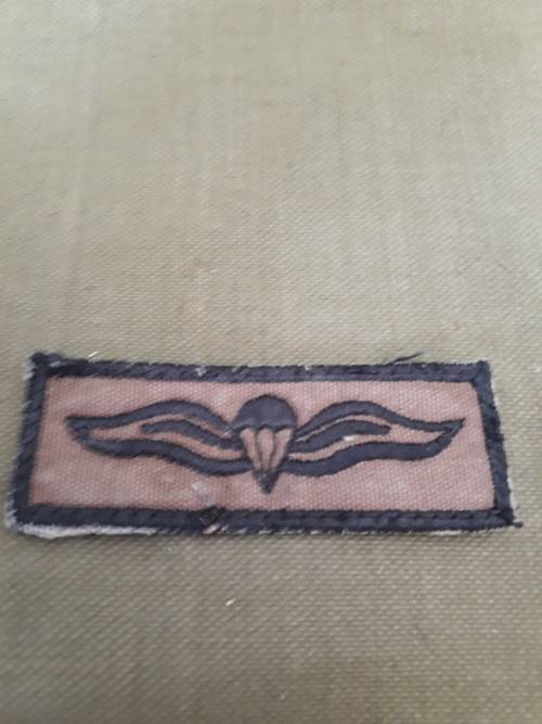 Original South Africa Army Parachute Basic Advance And Free fall Wings