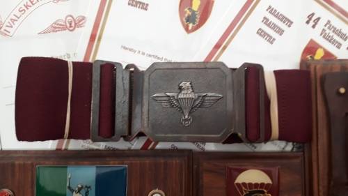 What a Intresting Para Batt Lot Ex Major Jumped With The French Badge Numbered Copy Certificates