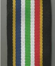 SAPS SOCCER WORLD CUP 2010 SUPPORT MEDAL - 40cm ribbon
