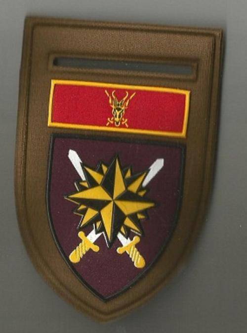 Special Forces Brigade HQ nutria shoulder flash