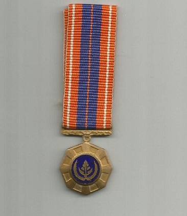 SADF Pro Patria Medal (miniature)
