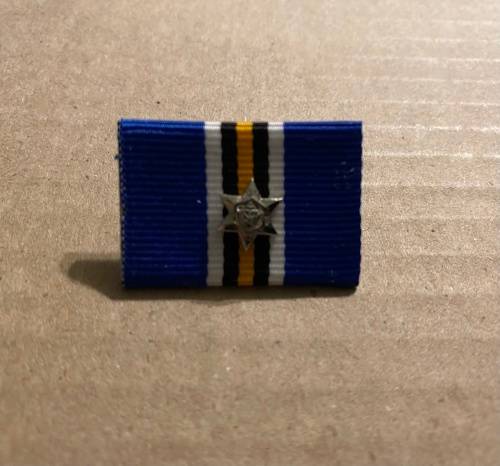 Order of the protea silver clasp