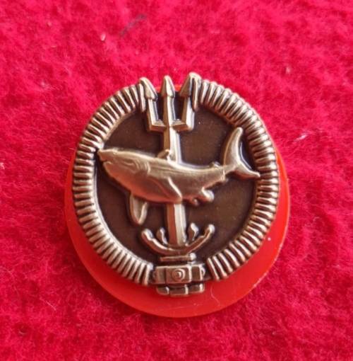 Recce Attack Diver full size badge (bronze)