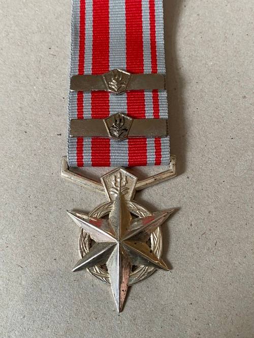 SAP Police Combating Terrorism Medal