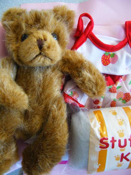 MAKE YOUR OWN COOL BEAR -- COLLECT THEM ALL