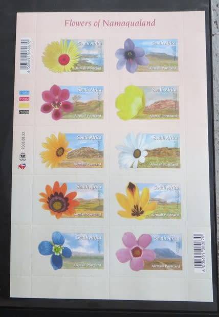 Flowers of Namaqualand Sheet Self Adhesive