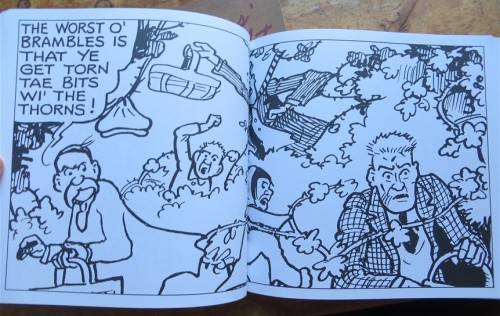 3 x The Broons Soft Cover Books - 1 Bid for all