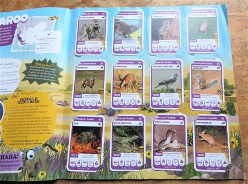 South African Super Animals - Complete Cards Collection in Album