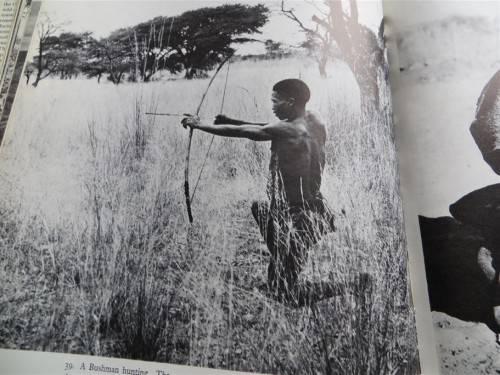 South West Africa - Alice Mertens