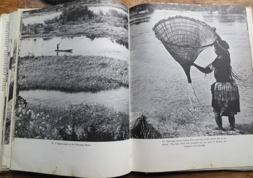 South West Africa - Alice Mertens