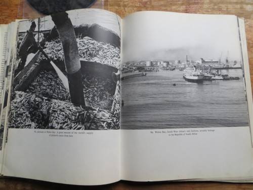 South West Africa - Alice Mertens