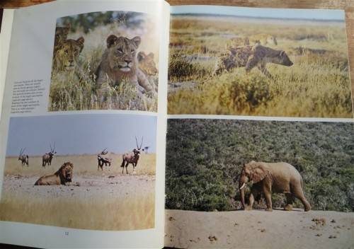 Game Sanctuaries of Southern Africa , Rhodesia , SA , Moz - David Steele