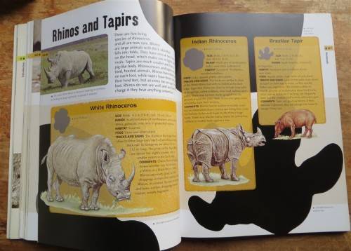 Animal Tracks and Signs - Jinny Johnson