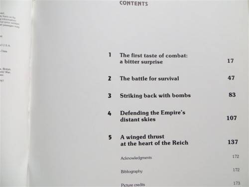 The RAF at War