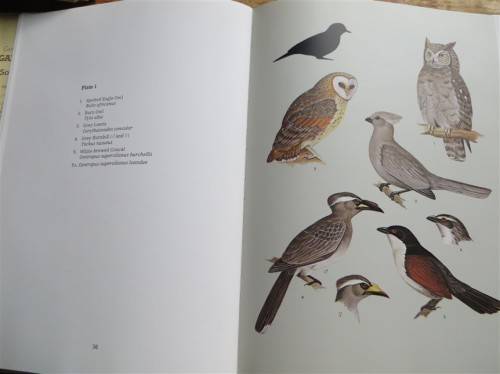 Garden Birds of Southern Africa - signed by Author Geoff Lockwood